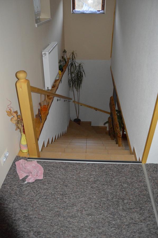 Ubytovanie Sokolica Červený Kláštor Exterior foto