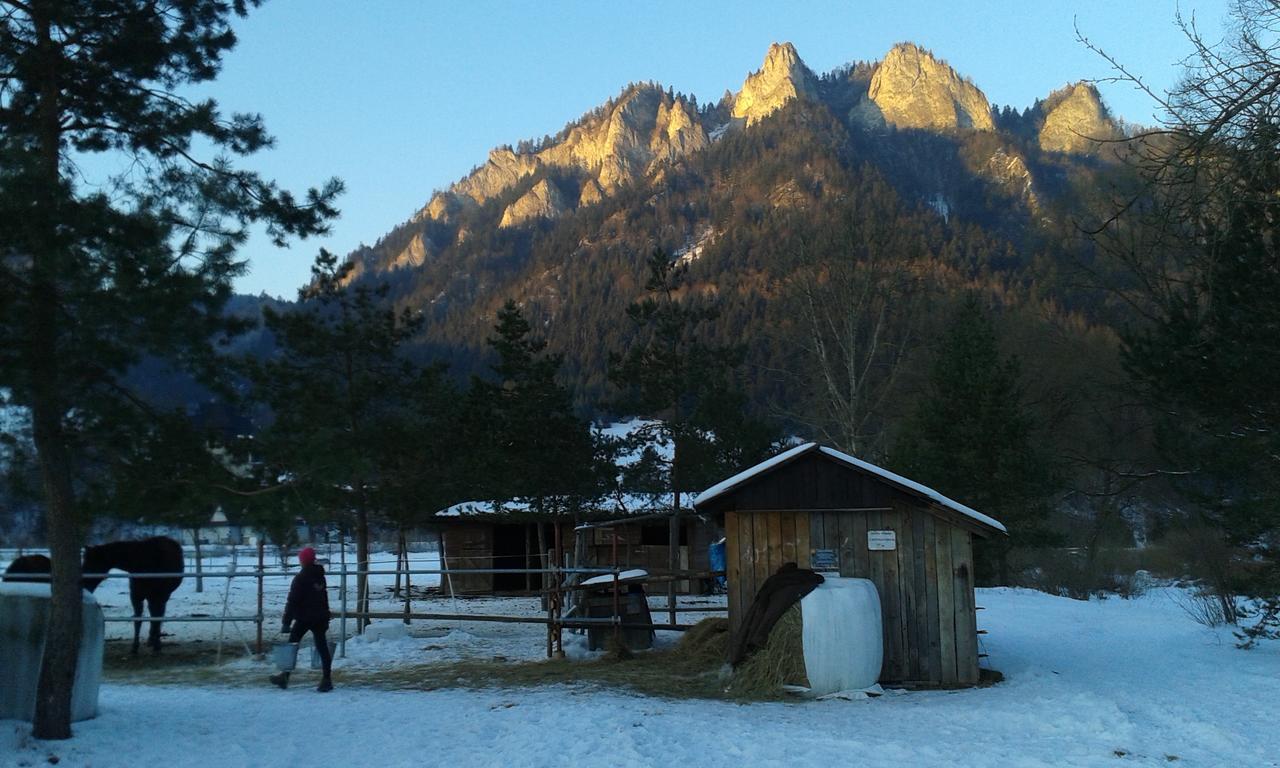 Ubytovanie Sokolica Červený Kláštor Exterior foto