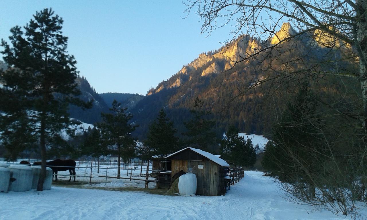 Ubytovanie Sokolica Červený Kláštor Exterior foto