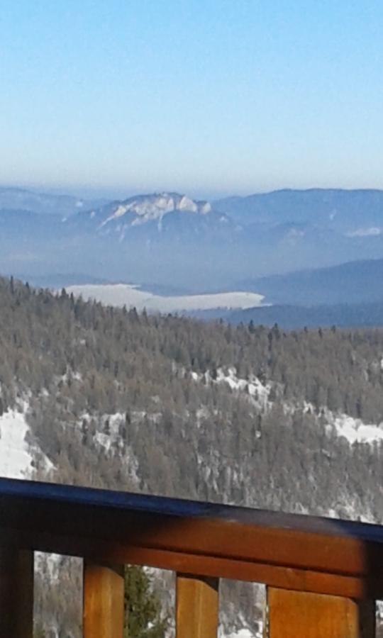 Ubytovanie Sokolica Červený Kláštor Exterior foto