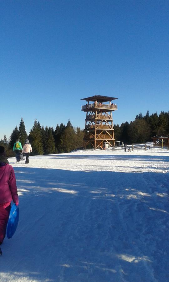 Ubytovanie Sokolica Červený Kláštor Exterior foto